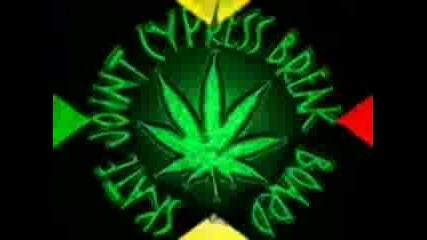 Joint - Снимки