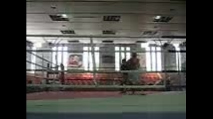 bobi boxing 