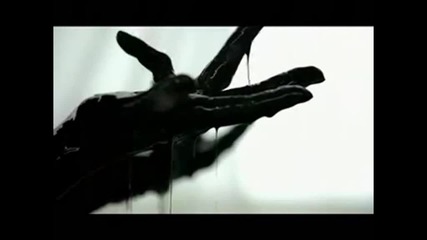 Shakira Ft Alejandro Sanz - La Tortura