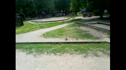 Това е гълъб. Той лети.