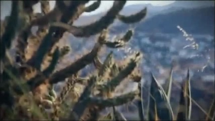 Mavi - Birak