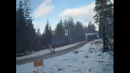 Wrc 2008