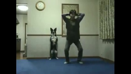 Куче Прави Гимнастика! 