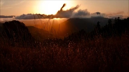 Braend - The Yellow Woods (original Mix)