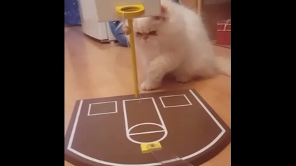 basketball dunk
