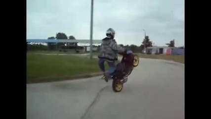 stunt 