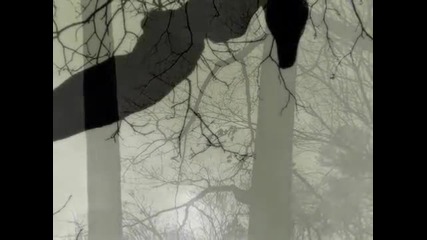 Secret Garden _duo_