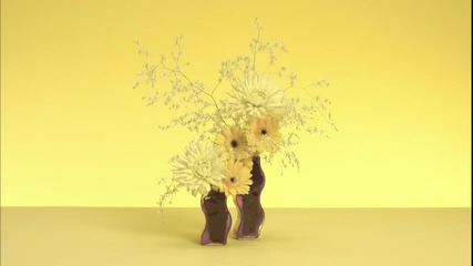 Panasonic Des Fleurs Demo Hd 1080.