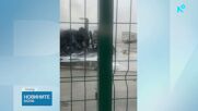 Еко инициатива в Хасково събира стари мартеници за рециклиране