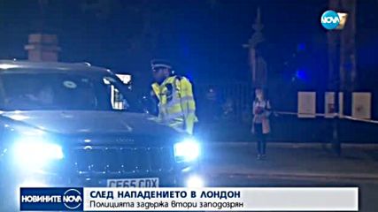 Още един арестуван за атаката пред Бъкингамския дворец