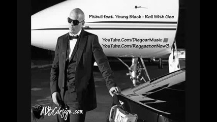 Pitbull Feat. Young Black - Roll With Gee (new Hot Song 2010) 