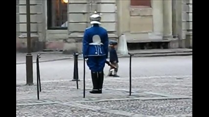 Boy Mirrors Swedish Guard 