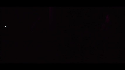 Danijel Mitrovic - Magnet Za Budale (official Video)
