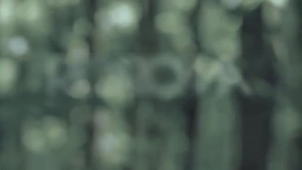 Rio Roma - Fan De La Luna