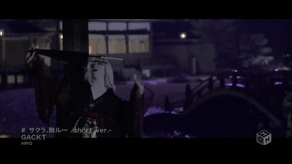 Gackt - Sakura Chiru (short version)