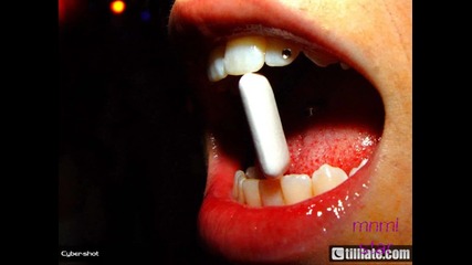 | Progressive House ^•^ |