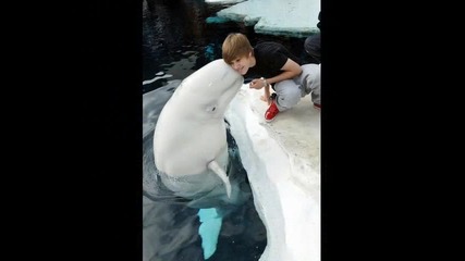Justin Bieber Forever