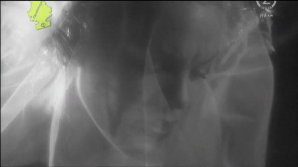 Pink - I dont believe you - 2009 ( H Q )