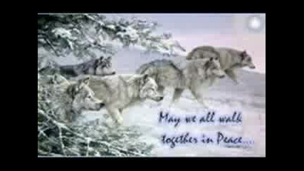 Save The Wolves