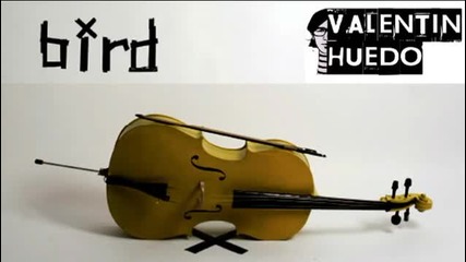 Bird - Some Boys (valentin Huedo Rmx) best version edit