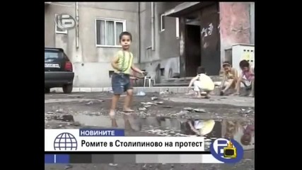 Gospodari na Efira - Kon na Lizing