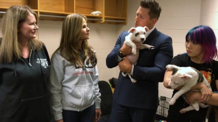 Team "Awe-ska" meet with some dogs from Rescue Dogs Rock