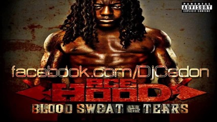 Ace Hood - Real Big (prod. by Cardiak) [blood Sweat & Tears 2011]