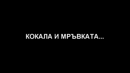 Динамит - Затворници - За Всеки Случай