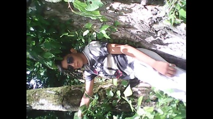 metin