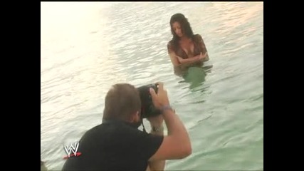 Candice Michelle - Viva Las Divas
