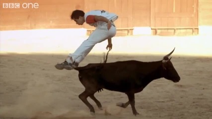 Bull Jumping - Inside the Human Body