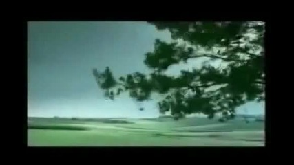 Колата е само средство за придвижване, не безмилостно оръжие