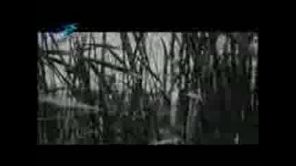 Привързаният Балон Бг Целия Филм 