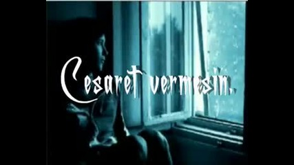 Ben Seni Sevdimde oldum 