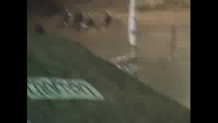 Mountain board Mania