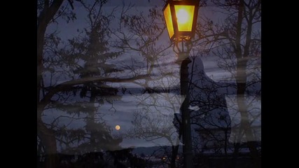 Не ме вини - Вера Илиева