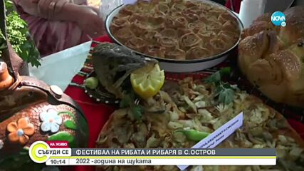 Фестивал на рибата и рибаря в село Остров