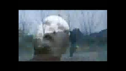 Red Hot Chili Peppers - Charlie