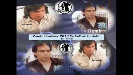 zvonko demirovic 2010 