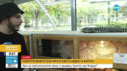 Показват най-отровните влечуги в света на изложба в Бургас