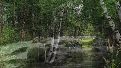 Откри ли ме - Таня Мезева