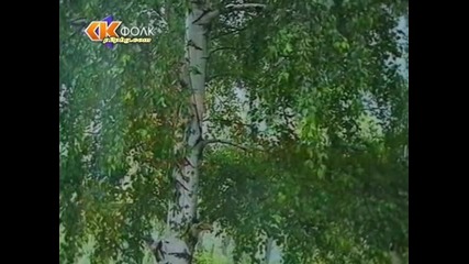 Сашо Роман - Цвете мое Hq