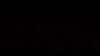 Ceca _ Kuda Idu Ostavljene Devojke _ Live Usce _ Hq