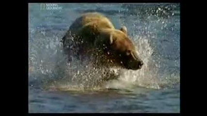 Дивата Русия Камчатка 