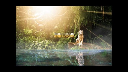 Last Jungle