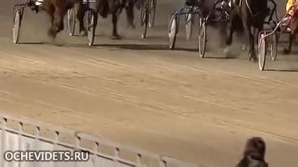 Секс по време на конното надбягване!?