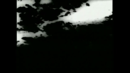 Vexos- Cryptorchid