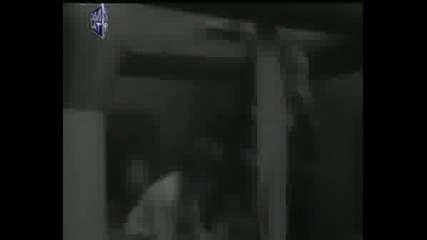 Грей Бай