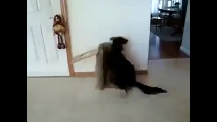 Куче с удиителни умения когато стане време за ядене