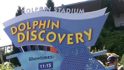 The Seaworld - Представление